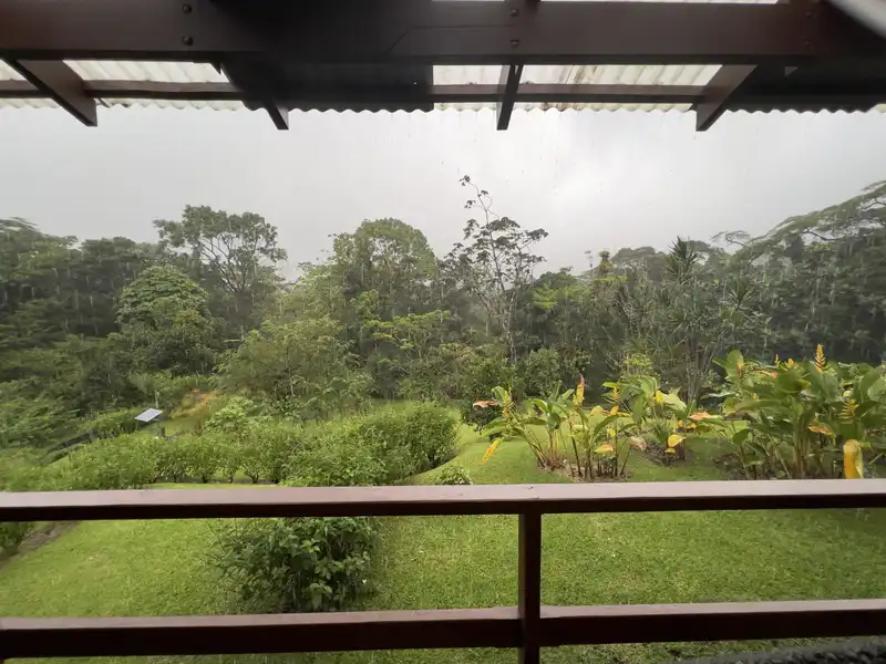 Our rooms were the ones closest to the Volcano and jungle. Humming birds and Kuati's would come straight up to our rooms.